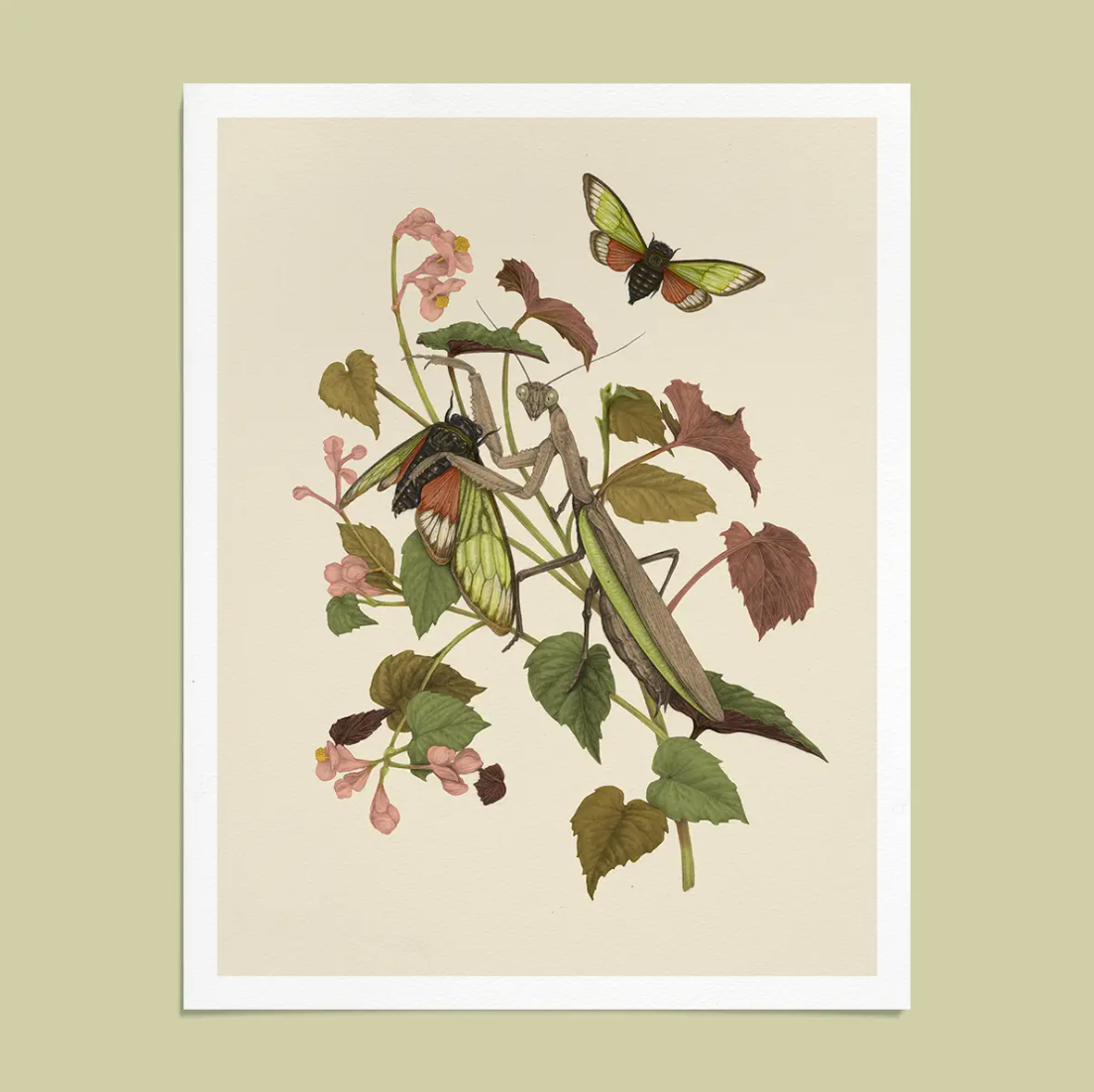 Mantis & Cicada Giclee Art Print by Mustard Beetle