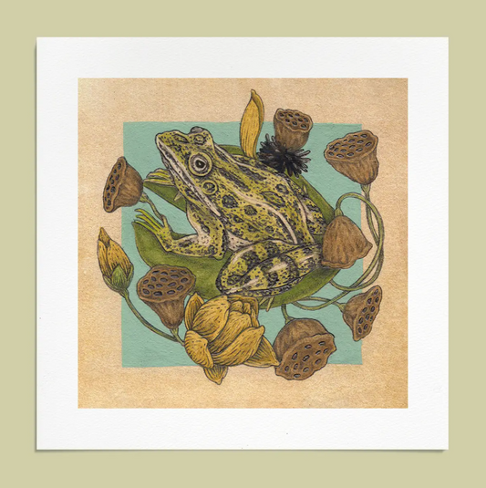 Frog & Lotus Giclee Art Print by Mustard Beetle