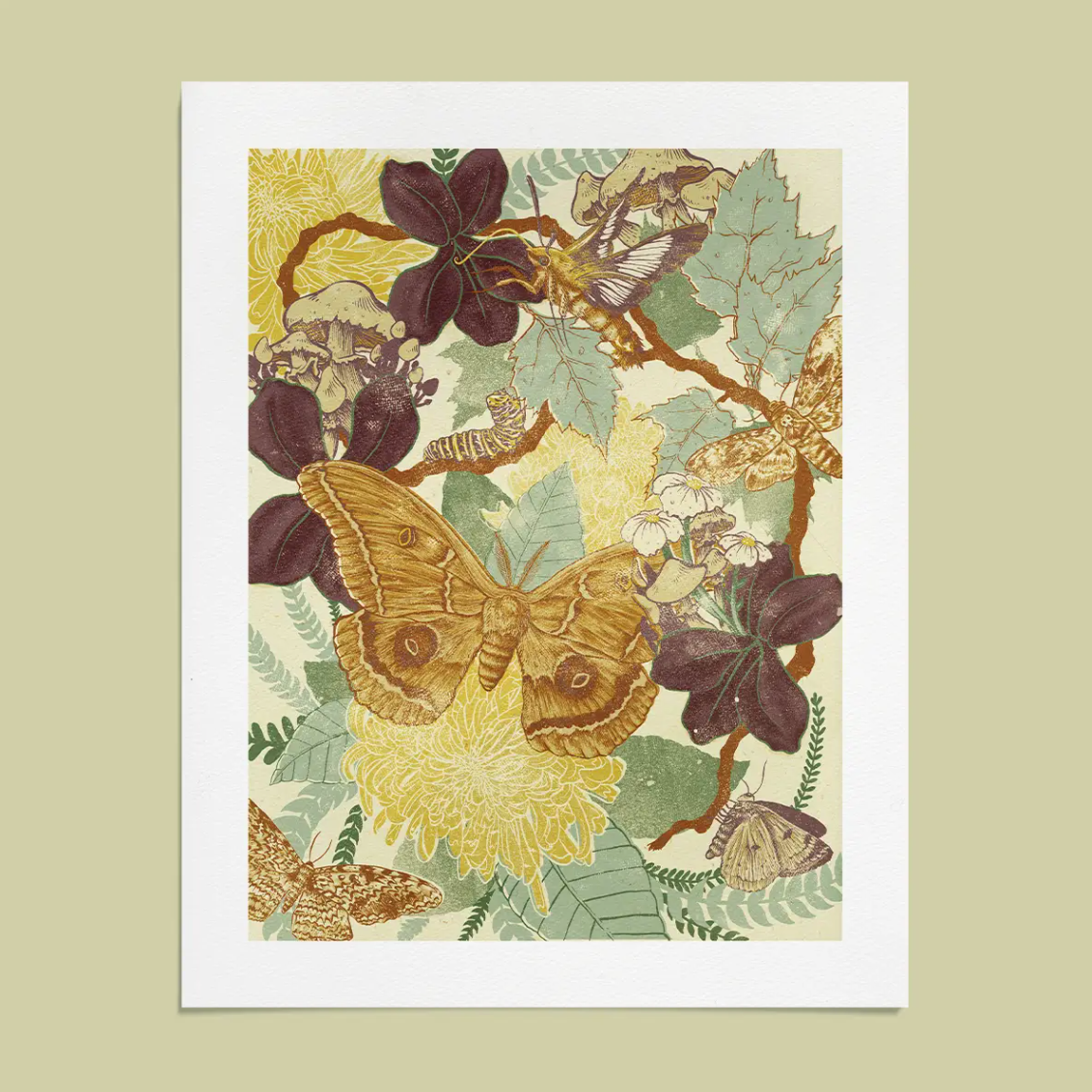Moth Giclee Print by Mustard Beetle