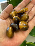 Tigers Eye Tumble