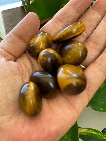 Tigers Eye Tumble