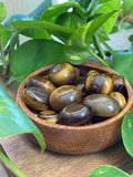 Tigers Eye Tumble