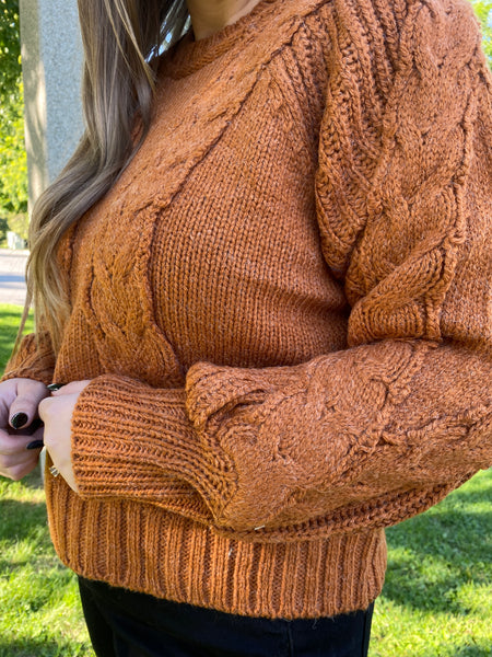 Pull Over Cable Knit Sweater in Burnt Orange