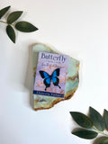 Oracle Cards - Multiple Varieties